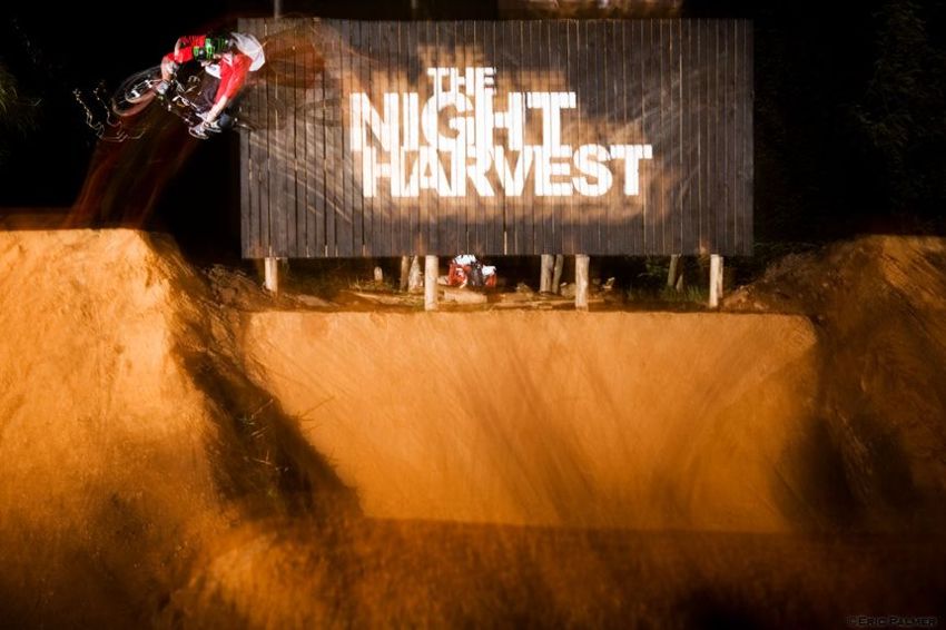 The Night Harvest 2014