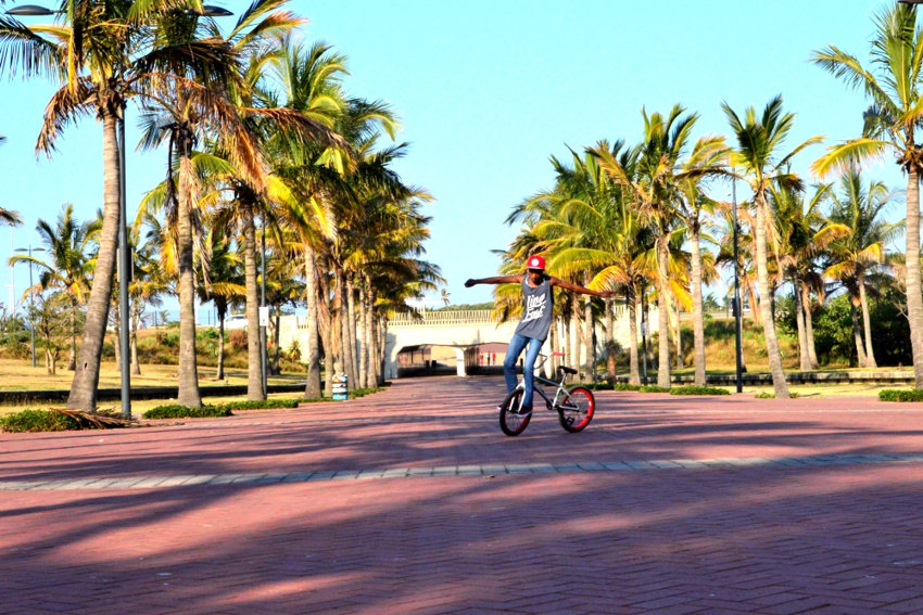 Summer, Natal, Palm Tree's. What more do you need?!