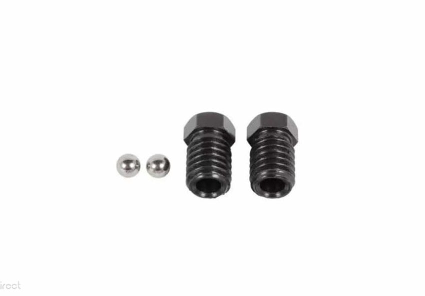 Replacement Nuts and Ball Kit For Freecoaster Hub