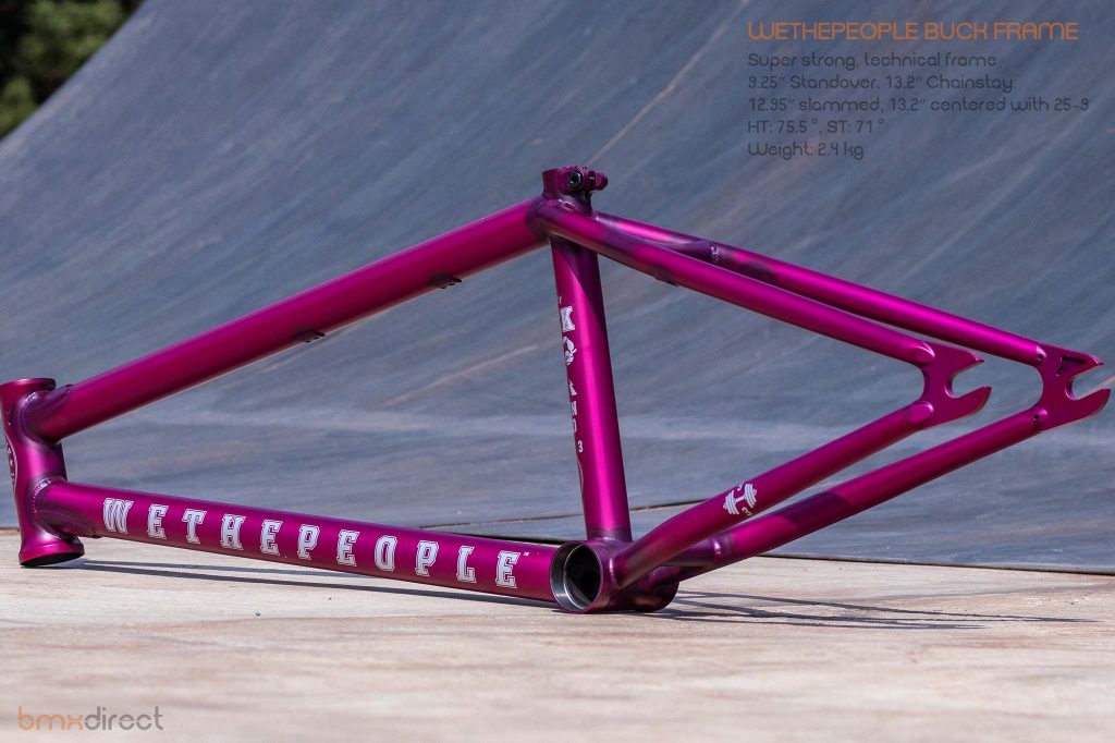 wethepeople buck frame