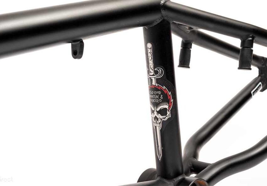 Wethepeople Justice Frame