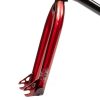Wethepeople Trust Fork